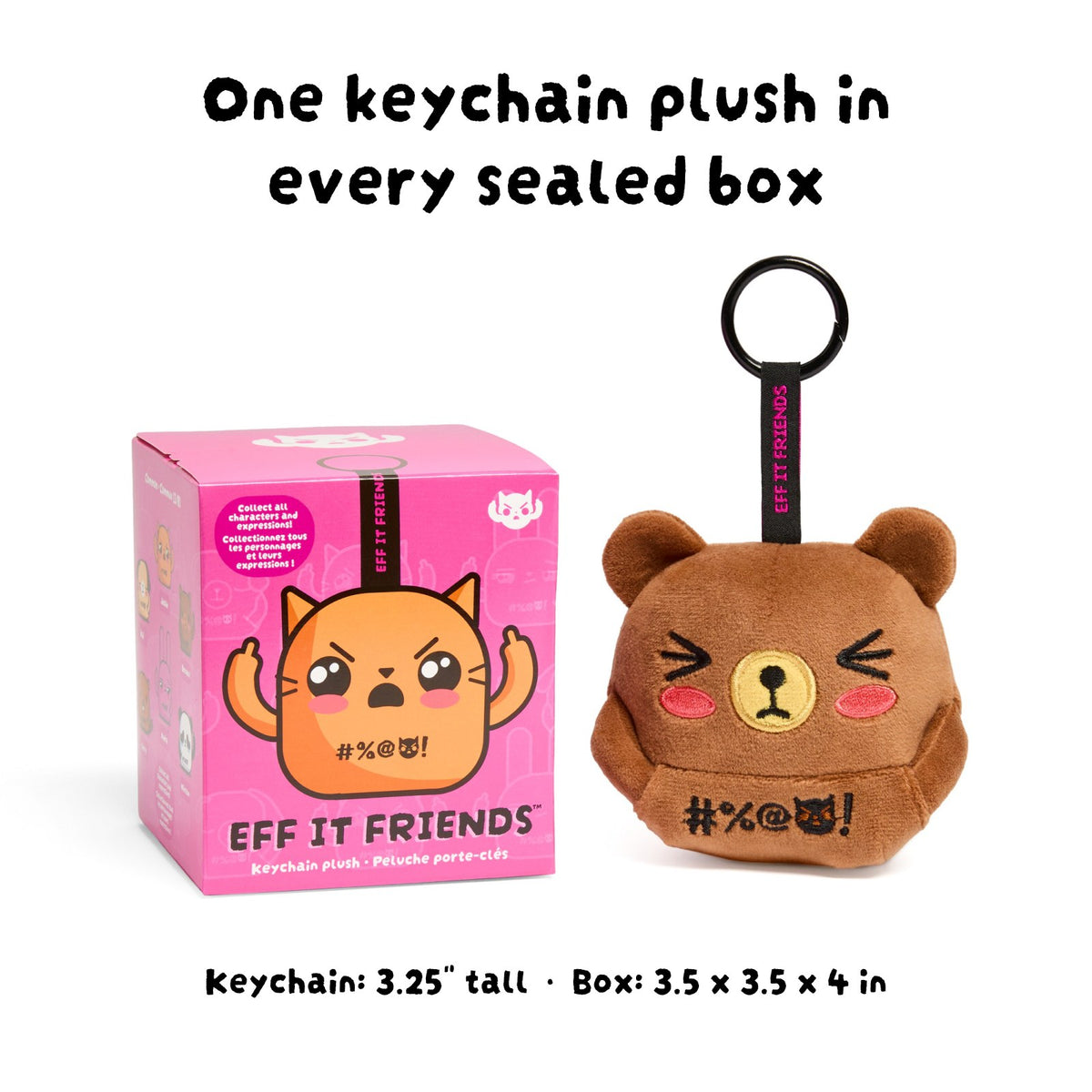 A sealed blind box next to a Bernard keychain plush: one 3.25 inch keychain in every 3.5 x 3.5 x 4 inch box